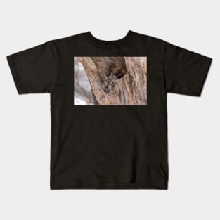 Eastern Screech Owl Kids T-Shirt